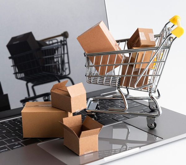 طراحی سایت فروشگاهی در کرج